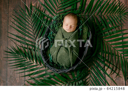 Little cute baby sleeps in a wicker basket of vines decorated with green palm leaves in a green blanket. Happy childhood 64215848
