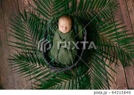 Little cute baby sleeps in a wicker basket of vines decorated with green palm leaves in a green blanket. Happy childhood 64215849