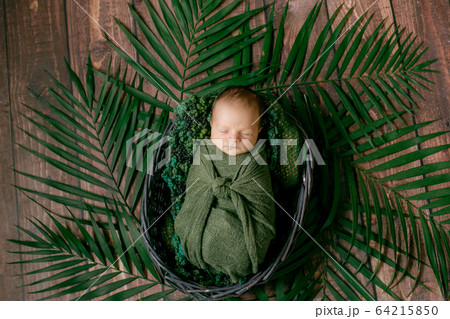 Little cute baby sleeps in a wicker basket of vines decorated with green palm leaves in a green blanket. Happy childhood 64215850