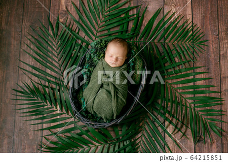 Little cute baby sleeps in a wicker basket of vines decorated with green palm leaves in a green blanket. Happy childhood 64215851