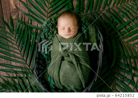 Little cute baby sleeps in a wicker basket of vines decorated with green palm leaves in a green blanket. Happy childhood 64215852