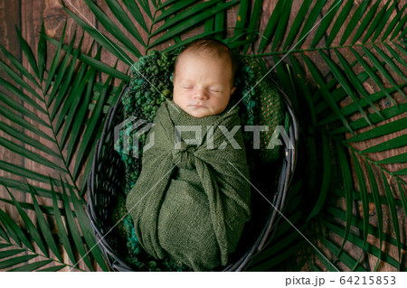 Little cute baby sleeps in a wicker basket of vines decorated with green palm leaves in a green blanket. Happy childhood 64215853