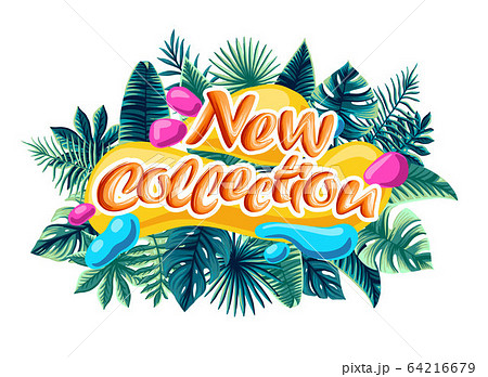 new collection tropical leaves sonce summer background 64216679