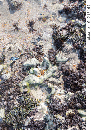 Nature seafront background, 64218167