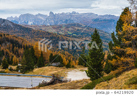 Overcast morning autumn alpine Dolomites mountain scene. Peaceful Valparola Path view, Belluno, Italy. 64219920