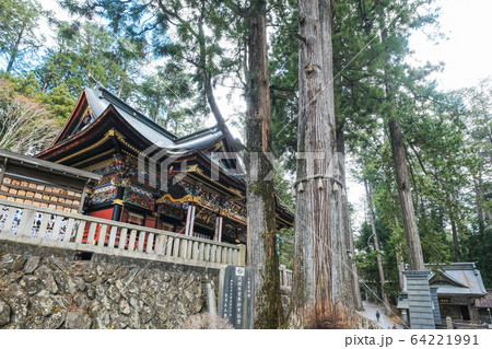 大杉と三峯神社拝殿 大杉と三峯神社拝殿 64221991