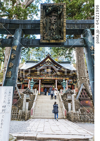 社殿と鳥居(縦) 社殿と鳥居(縦) 64221996