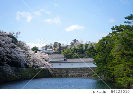 彦根城 天守閣 二の丸佐和口多聞櫓 国宝 桜 彦根城 天守閣 二の丸佐和口多聞櫓 国宝 桜 64222010