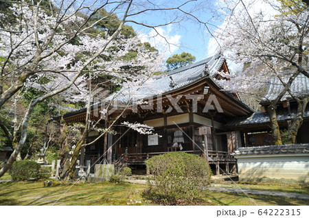 勝持寺2020年4月 64222315