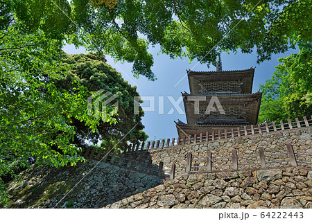 新緑に包まれた石垣に建つ三重塔:清水寺(島根県安来市清水町) 新緑に包まれた石垣に建つ三重塔:清水寺(島根県安来市清水町) 64222443