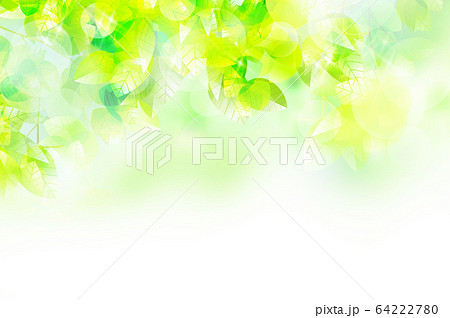 新緑のイラストのイラスト素材