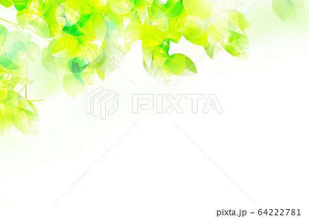 新緑のイラストのイラスト素材