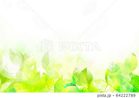 新緑のイラストのイラスト素材
