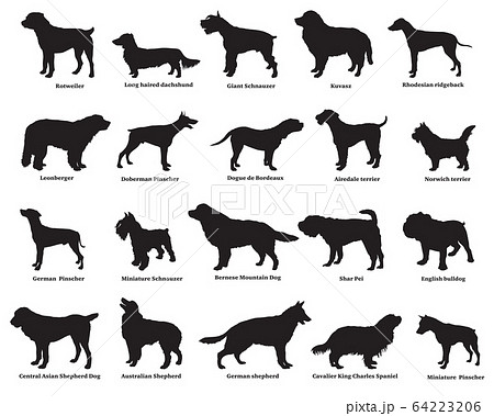 Set of dogs silhouettes 64223206
