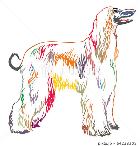 Colorful decorative standing portrait of Afghan Colorful decorative standing portrait of Afghan 64223305