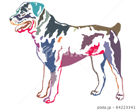 Colorful decorative standing portrait of rotweiler 64223341