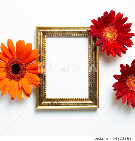 Empty photo frame with gerbera flowers on white background. Floral composition, flat lay, top view, copy space 64223368