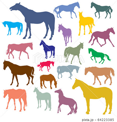 Vector set of colorful horses silhouettes 64223385