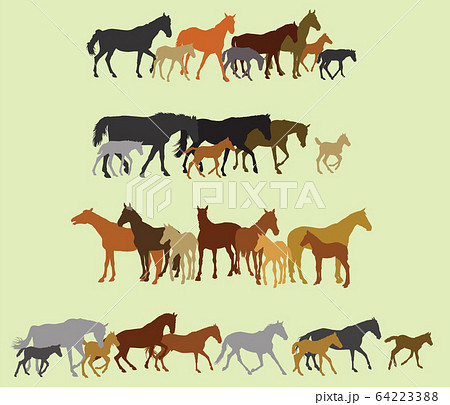 Set of isolated horses and foals silhouettes 64223388