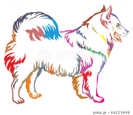 Colorful decorative standing portrait of dog 64223649