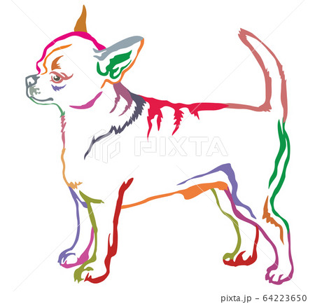 Colorful decorative standing portrait of dog short 64223650
