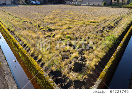 田植え前の荒れた田んぼ 田植え前の荒れた田んぼ 64223746