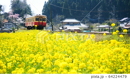 小湊鐵道の高滝 小湊鐵道の高滝 64224479