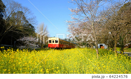 小湊鐵道の上総大久保駅 64224576