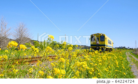 いすみ鉄道の西大原 いすみ鉄道の西大原 64224724