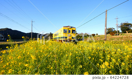 いすみ鉄道の久我原 いすみ鉄道の久我原 64224728