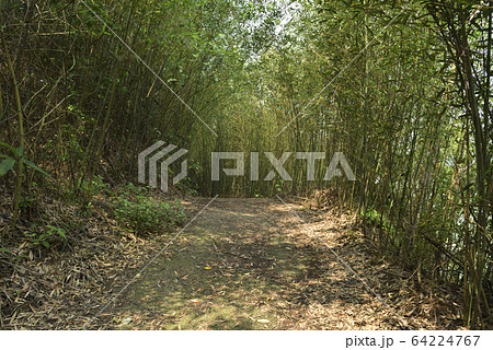 景色 風景 地形 64224767