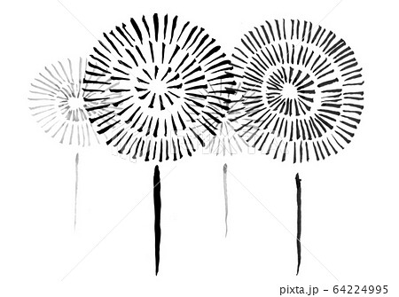 打ち上げ花火（墨の手描き）のイラスト素材 [64224995] - PIXTA
