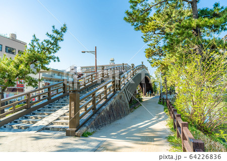 日光街道 国指定名勝 草加松原 64226836