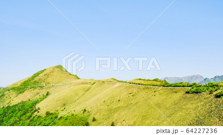 瓶ヶ森林道 64227236