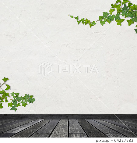 背景-壁-床-白バック-アイビー 背景-壁-床-白バック-アイビー 64227532
