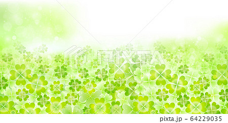クローバー 草 新緑 背景のイラスト素材