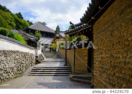 東大寺裏参道 東大寺裏参道 64229170