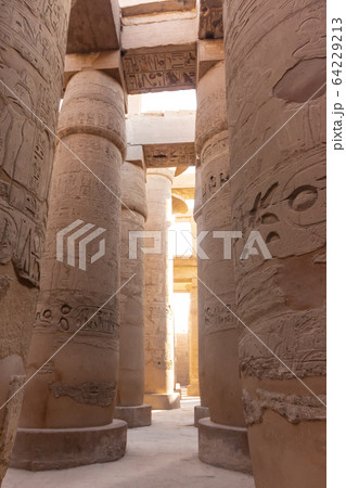 エジプトの 旅行 休暇 64229213