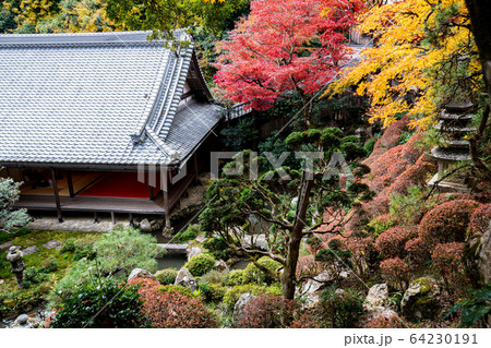 柳谷観音楊谷寺 64230191