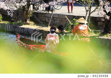 瀬戸の花嫁385 瀬戸の花嫁385 64230498