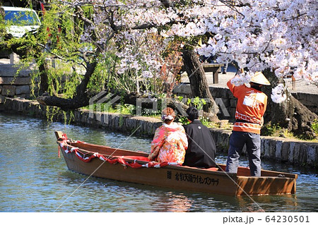 瀬戸の花嫁406 64230501