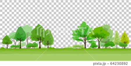 緑豊かな木の風景 イラスト 64230892
