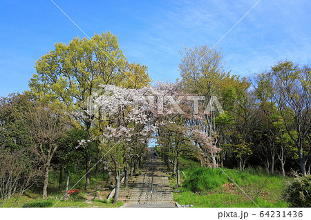 花博記念公園鶴見緑地(鶴見新山) 花博記念公園鶴見緑地(鶴見新山) 64231436