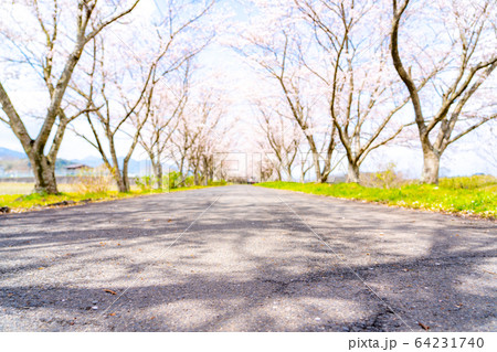 津市 安濃 北神山花街道 津市 安濃 北神山花街道 64231740