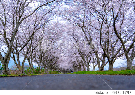 津市 安濃 北神山花街道 津市 安濃 北神山花街道 64231797