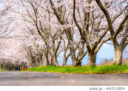 津市　安濃　北神山花街道 64231804