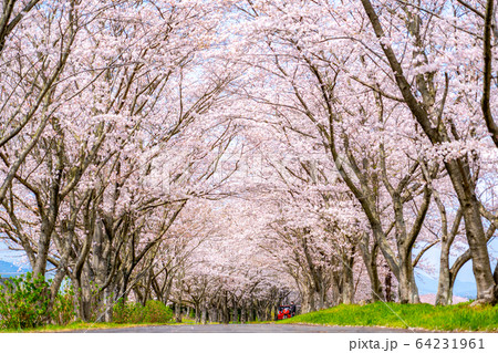 津市 安濃 北神山花街道 津市 安濃 北神山花街道 64231961