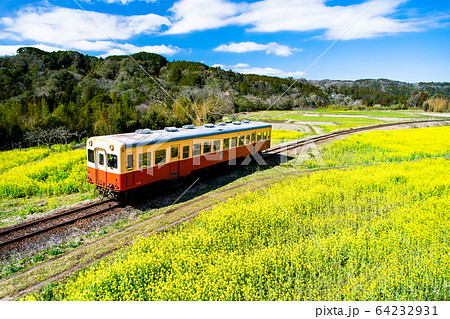 千葉県 小湊鉄道 石神の菜の花畑と気動車の写真素材