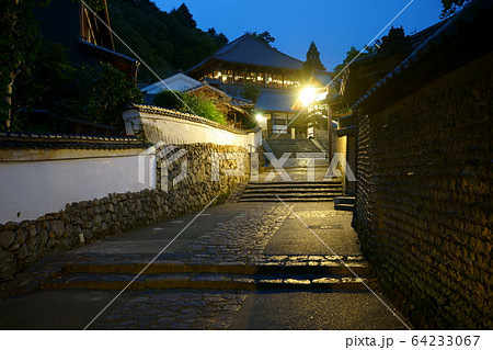 東大寺裏参道 64233067