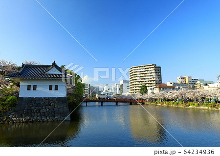 小田原城　桜　小田原城址公園　市街地 64234936